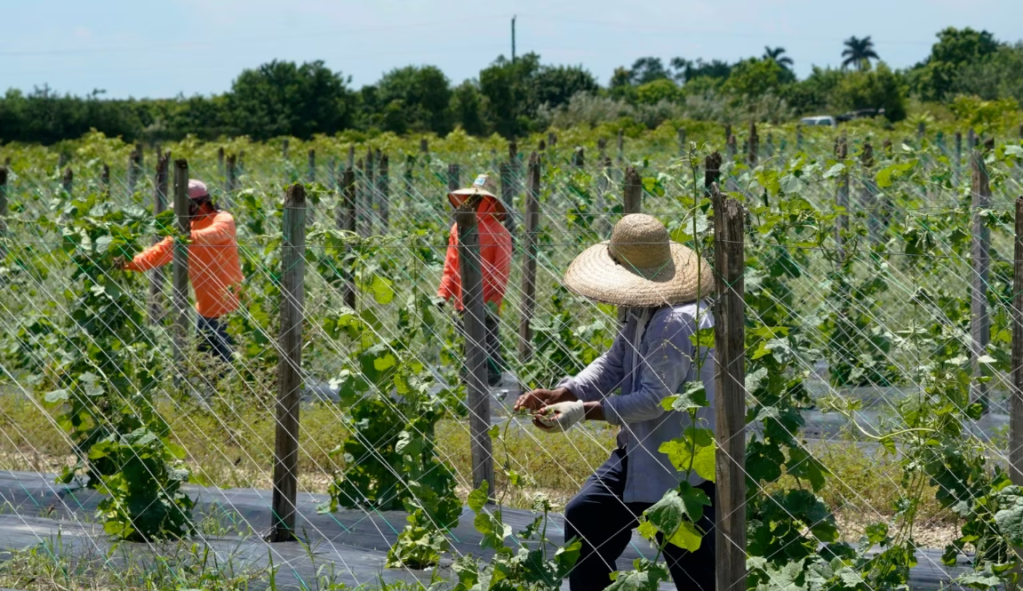 Inmigrantes en la Florida cambian sus hábitos por nueva ley&nbsp;migratoria