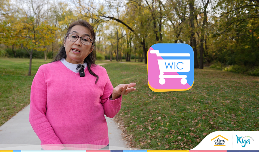 Recomendaciones para una mejor nutrición utilizando el programa de&nbsp;WIC