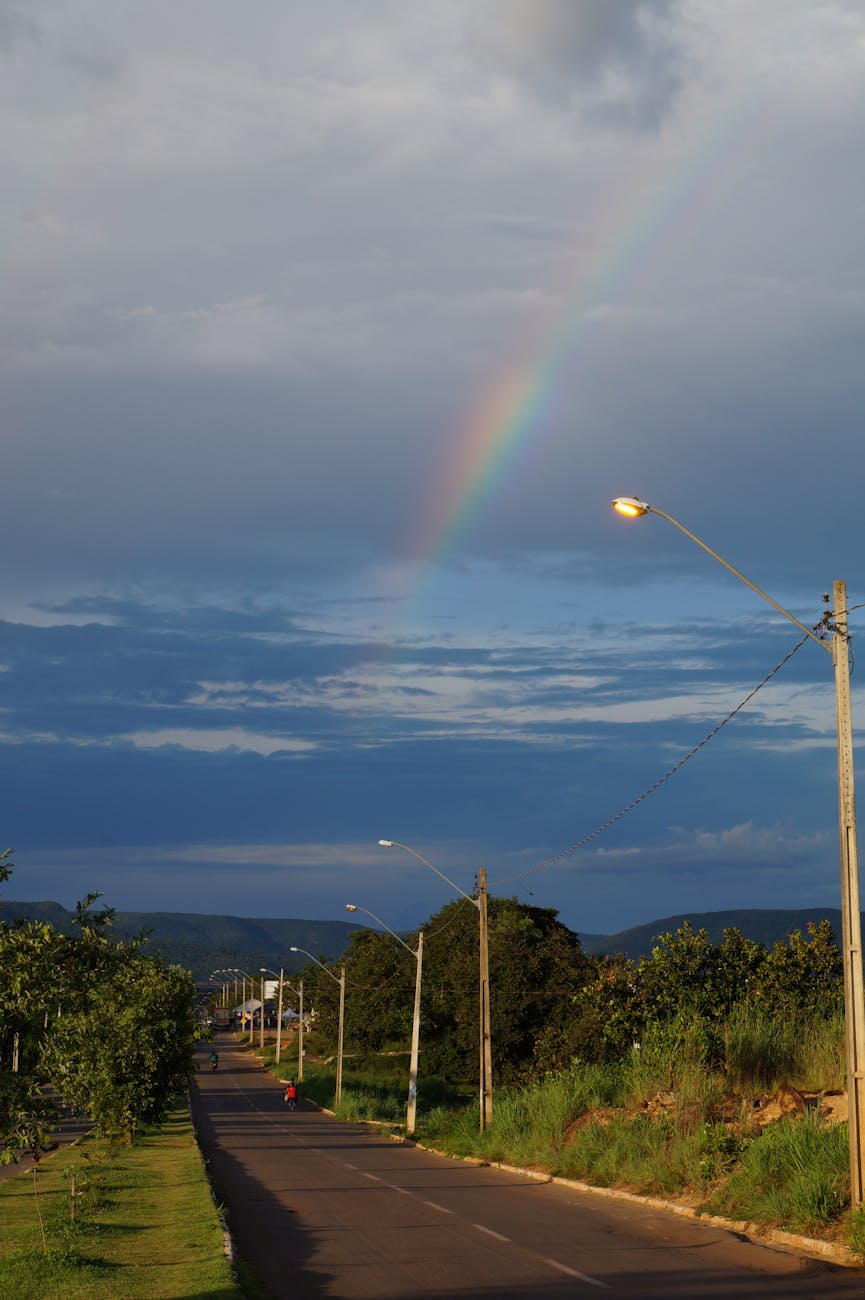 road between trees against sky with rainbow